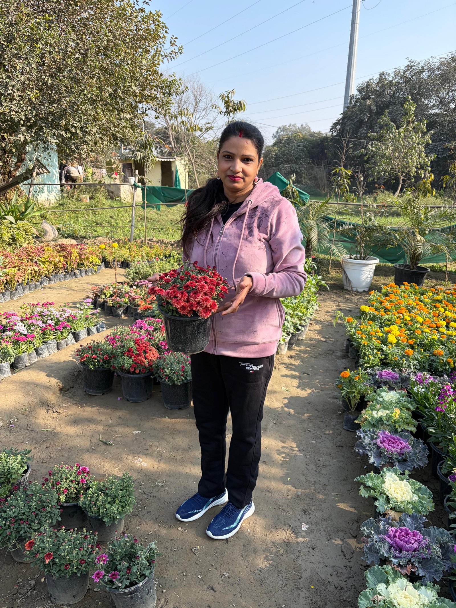 Plantary founder holding a flowering plant at a nursery